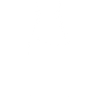 Nutrient-Rich Ingredients