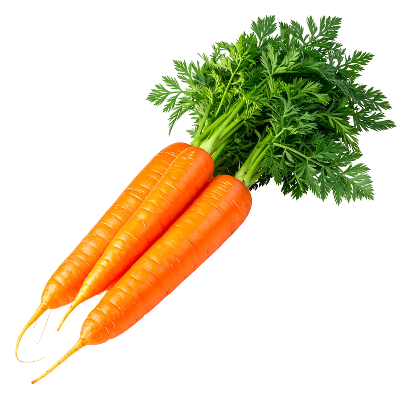 Carrot