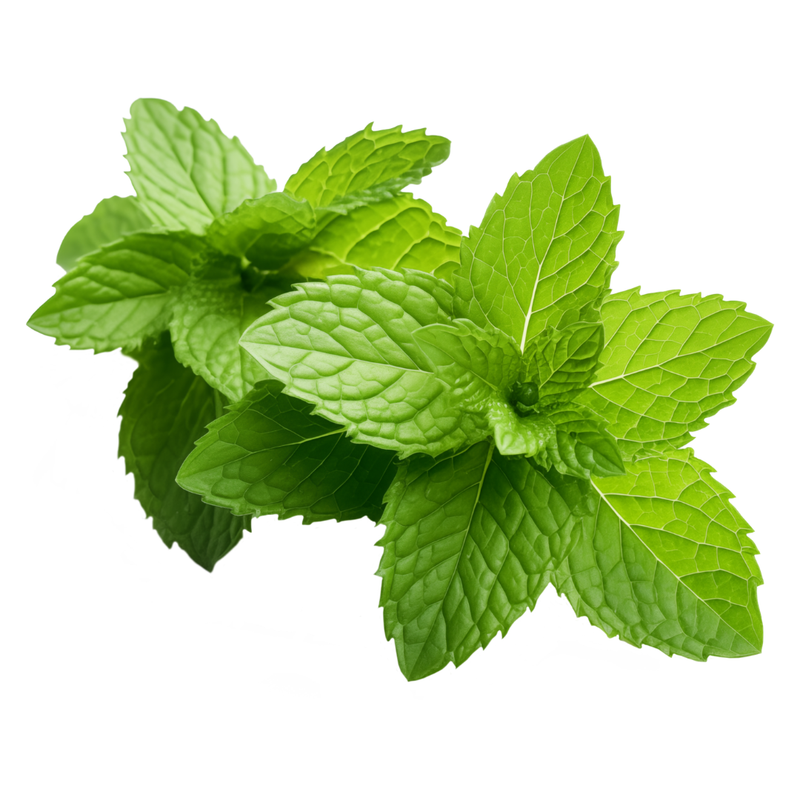 Mint