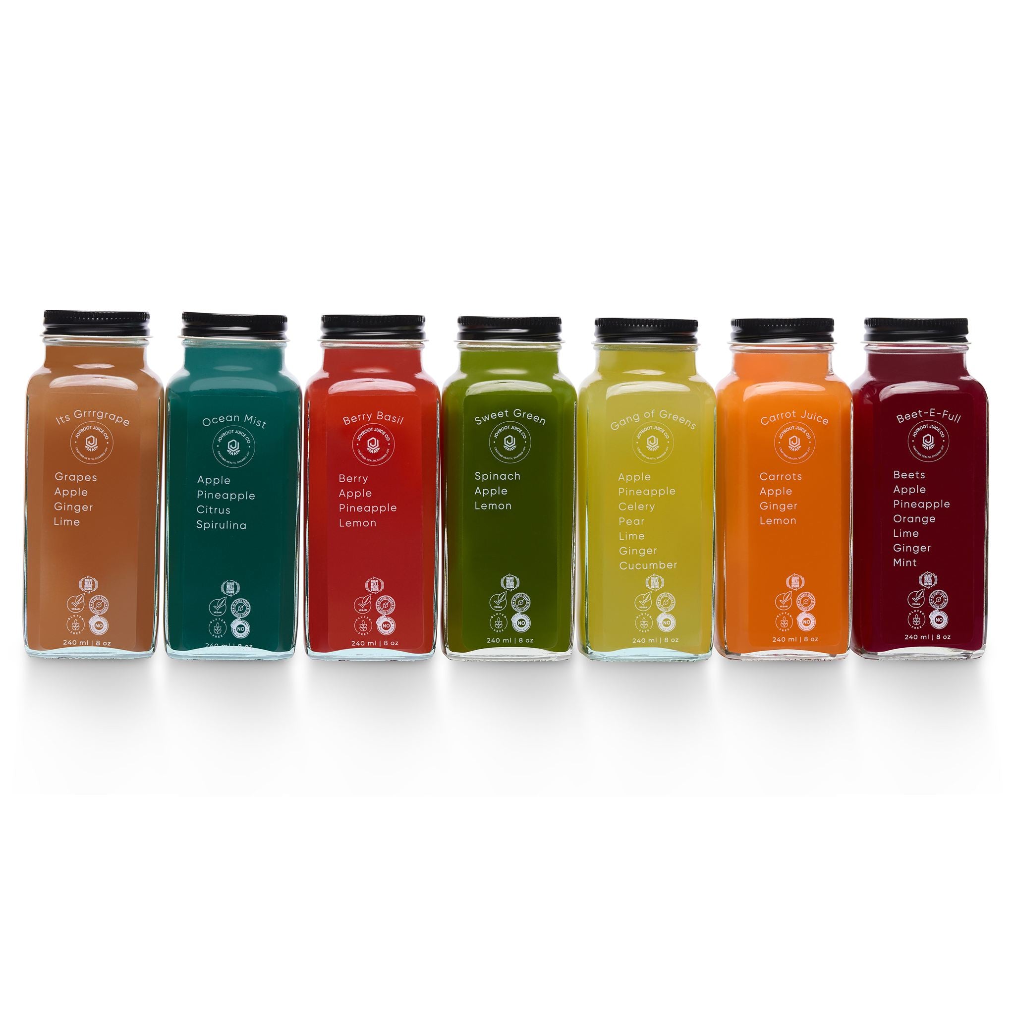 Ocean Mist – 8oz – Joy Root Juice Co